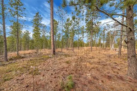 tbd Lofty Pines Ct, Lead, SD 57754 photo 4