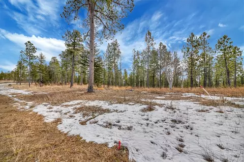 tbd Lofty Pines Ct, Lead, SD 57754 photo 7