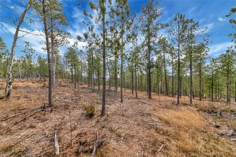 tbd Lofty Pines Ct, Lead, SD 57754 photo 3
