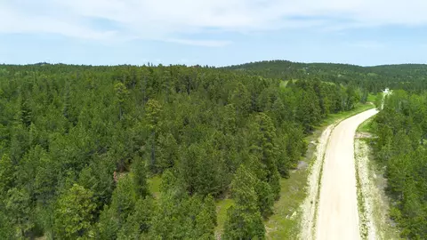 231 68 Acres Yellow Creek Rd, Lead, SD 57754 photo 29