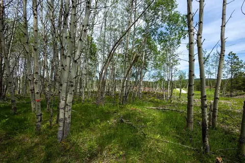 231 68 Acres Yellow Creek Rd, Lead, SD 57754 photo 10