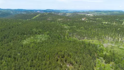 231 68 Acres Yellow Creek Rd, Lead, SD 57754 photo 13