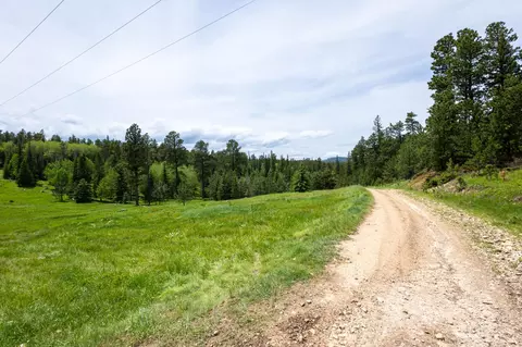 231 68 Acres Yellow Creek Rd, Lead, SD 57754 photo 19