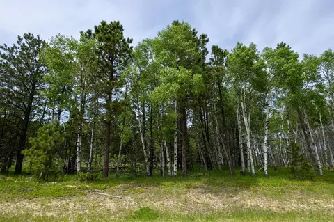 231 68 Acres Yellow Creek Rd, Lead, SD 57754 photo 6