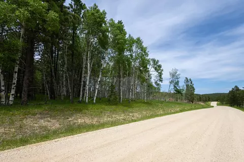 231 68 Acres Yellow Creek Rd, Lead, SD 57754 photo 22