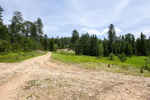 231 68 Acres Yellow Creek Rd, Lead, SD 57754 photo 18