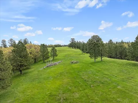 tbd Niobrara Dr, Whitewood, SD 57793 photo 9