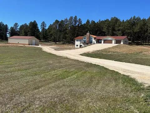 Exterior - 25809 Sidney Trl, Custer, SD 57730 photo 6 of 8
