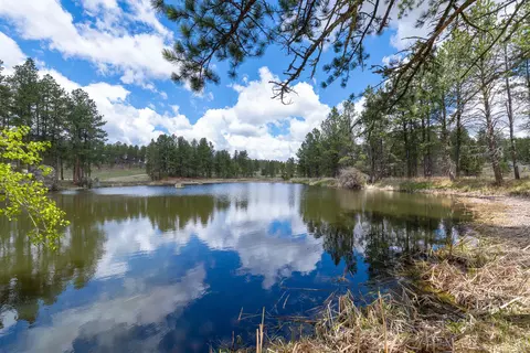 12355 Star Valley Dr, Custer, SD 57730