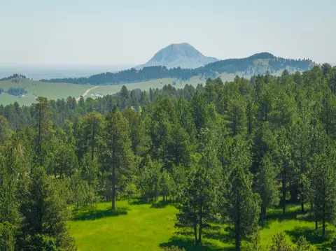 tbd Acorn Ridge Rd, Whitewood, SD 57783