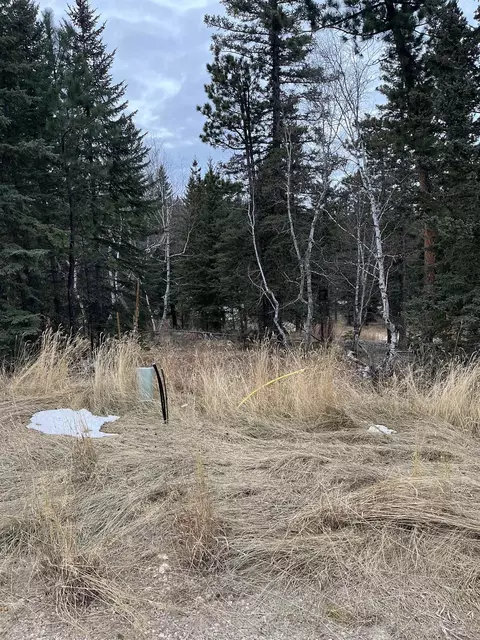 11291 Trailside Loop, Lead, SD 57754 photo 15