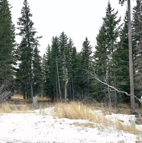11291 Trailside Loop, Lead, SD 57754 photo 10