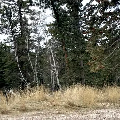 11291 Trailside Loop, Lead, SD 57754 photo 17