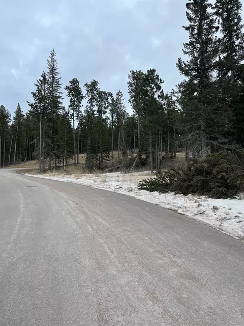 11291 Trailside Loop, Lead, SD 57754 photo 7