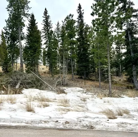 11291 Trailside Loop, Lead, SD 57754 photo 8
