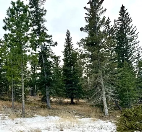 11291 Trailside Loop, Lead, SD 57754 photo 5