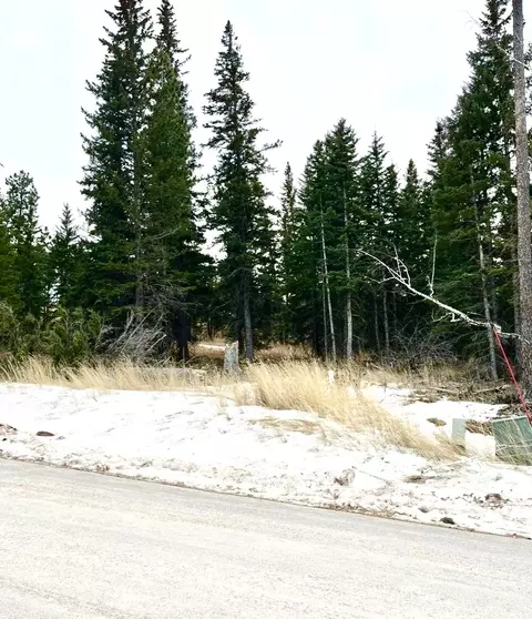 11291 Trailside Loop, Lead, SD 57754 photo 9