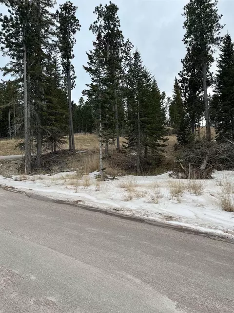 11291 Trailside Loop, Lead, SD 57754 photo 13