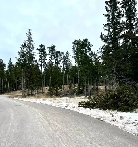 11291 Trailside Loop, Lead, SD 57754 photo 16