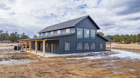 Exterior - 25270 Mill Pond Estates Rd, Custer, SD 57730 photo 7 of 8