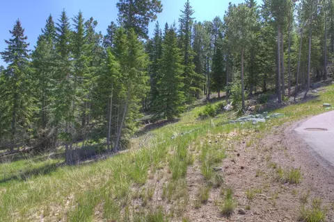11292 Trailside Loop, Lead, SD 57754 photo 20
