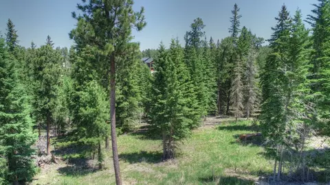 11292 Trailside Loop, Lead, SD 57754 photo 6