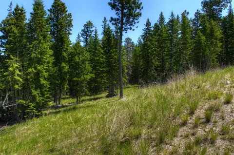 11292 Trailside Loop, Lead, SD 57754 photo 21