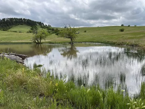 tbd Other, Whitewood, SD 57793