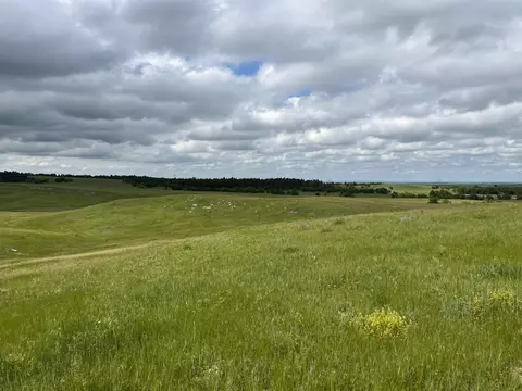 tbd Other, Whitewood, SD 57793 photo 10