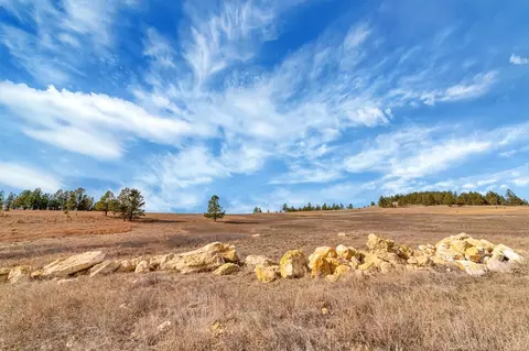lot10 Lonesome Dove St, Custer, SD 57730