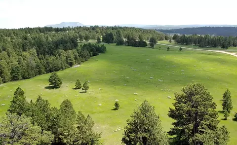 9 Colt Trl, Sundance, WY 82729