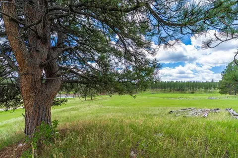 24901 Big Valley Trl, Custer, SD 57730 photo 9