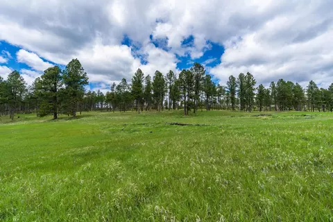 24901 Big Valley Trl, Custer, SD 57730 photo 10