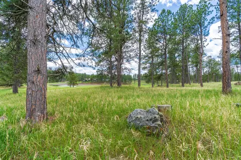 24901 Big Valley Trl, Custer, SD 57730 photo 7