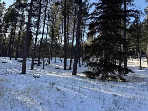 21301 Vanocker Canyon Rd, Sturgis, SD 57785 photo 10