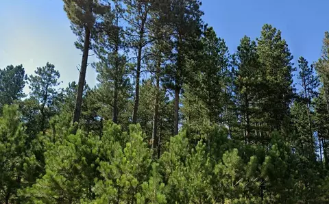 21301 Vanocker Canyon Rd, Sturgis, SD 57785 photo 5