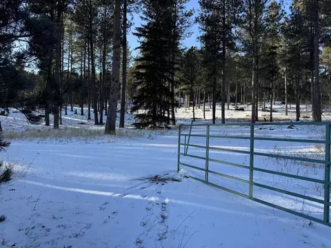 21301 Vanocker Canyon Rd, Sturgis, SD 57785 photo 9