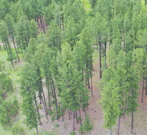 21301 Vanocker Canyon Rd, Sturgis, SD 57785 photo 8