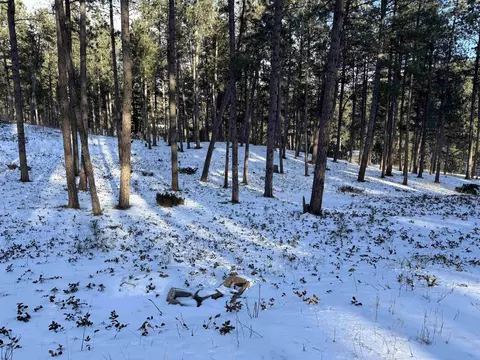 21301 Vanocker Canyon Rd, Sturgis, SD 57785 photo 13