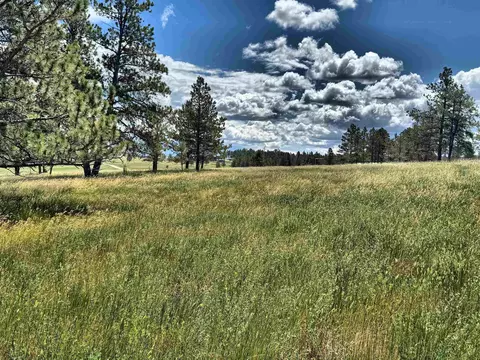 tbd W Argyle Rd, Custer, SD 57730 photo 3