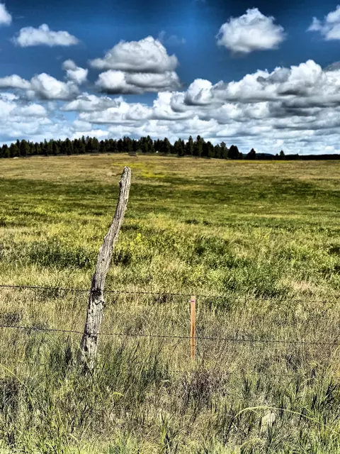 tbd W Argyle Rd, Custer, SD 57730 photo 13