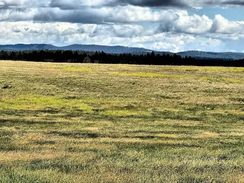 tbd W Argyle Rd, Custer, SD 57730 photo 5