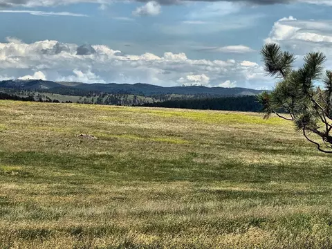 tbd W Argyle Rd, Custer, SD 57730 photo 6