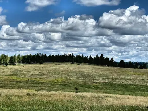 tbd W Argyle Rd, Custer, SD 57730 photo 11