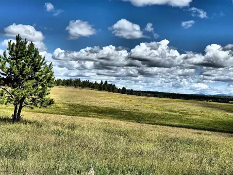 tbd W Argyle Rd, Custer, SD 57730