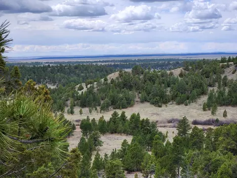 55 Two Pipe Trl, Sundance, WY 82729