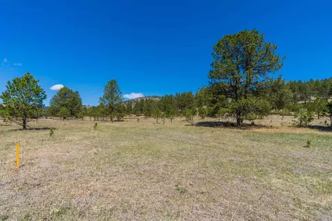 lot L Cold Spring Trl, Custer, SD 57730 photo 11