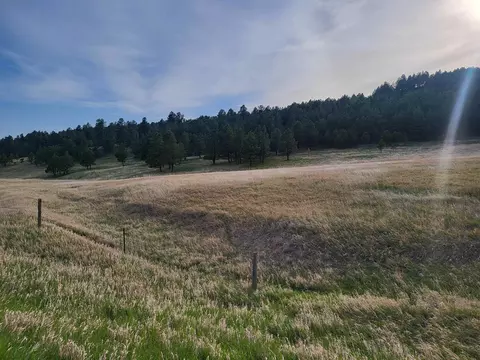 tbd Lh Rd, Fairburn, SD 57738 photo 5