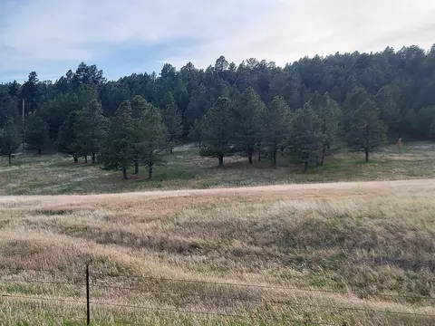 tbd Lh Rd, Fairburn, SD 57738 photo 6