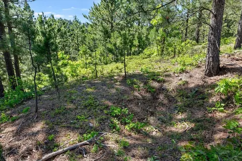 20813 Mollman L Other, Lead, SD 57754 photo 39